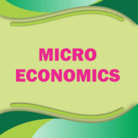 Micro Economics