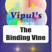 Vipul's Guide to The Binding Wine